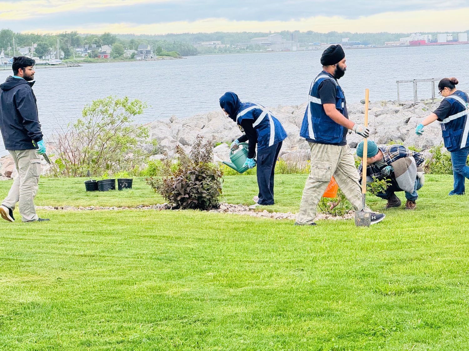 BSA volunteers planting trees and shrubs along the Cape Breton shoreline