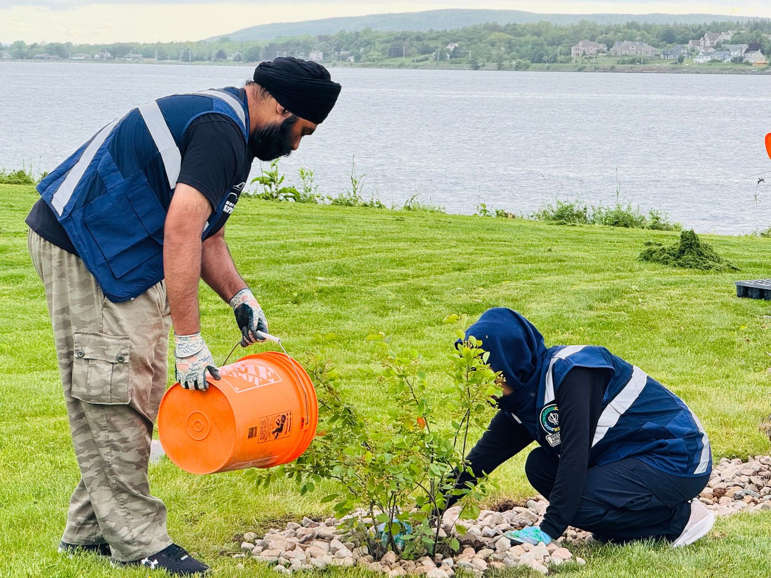 BSA volunteers planting and watering on the Sydney waterfront
